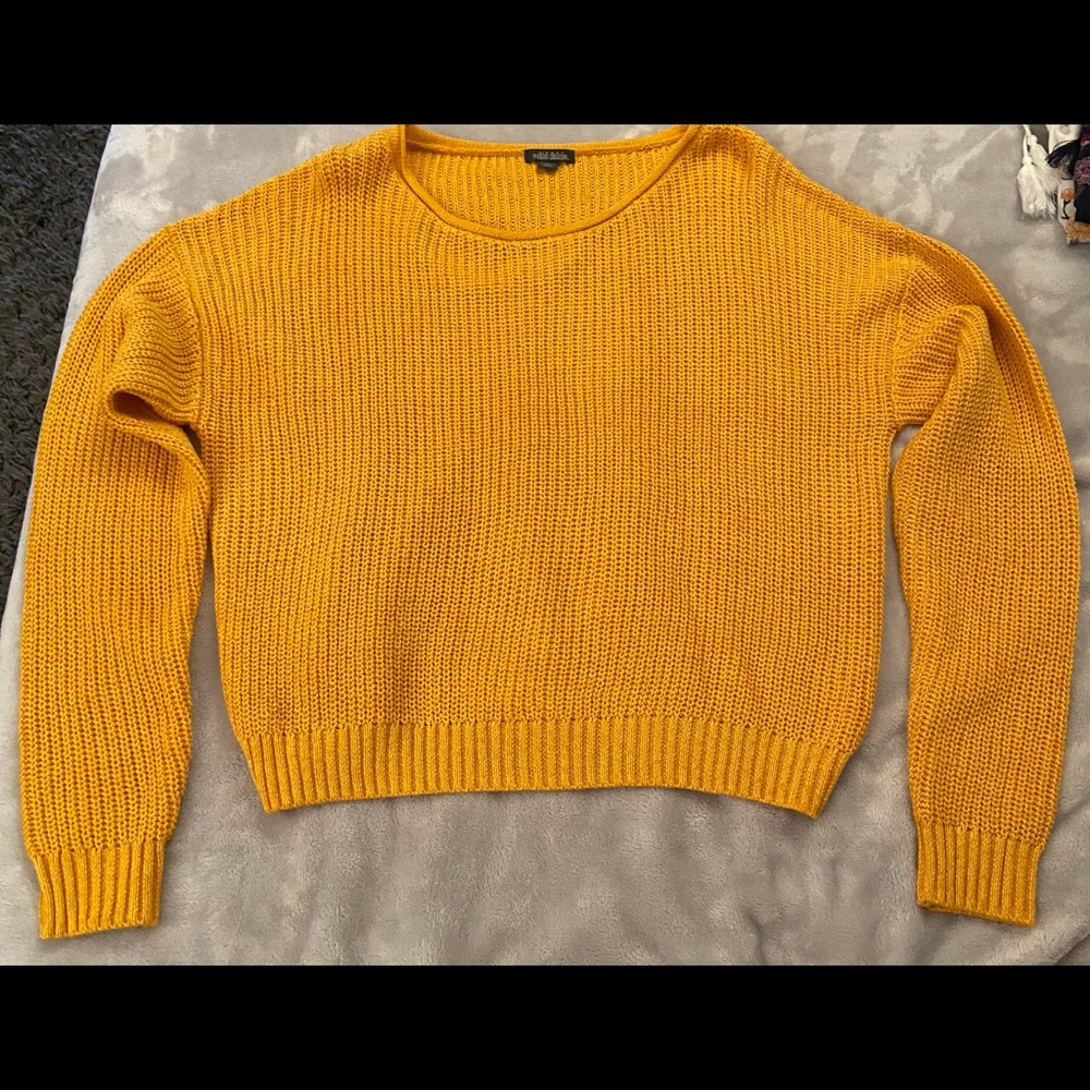 Wild fable sweater